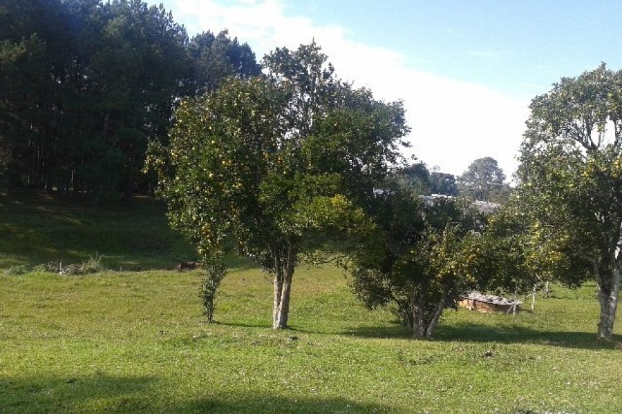 Casa com 80m², 3 dormitórios, 1 vaga, no bairro Jardim Iracema em Caxias do Sul para Comprar