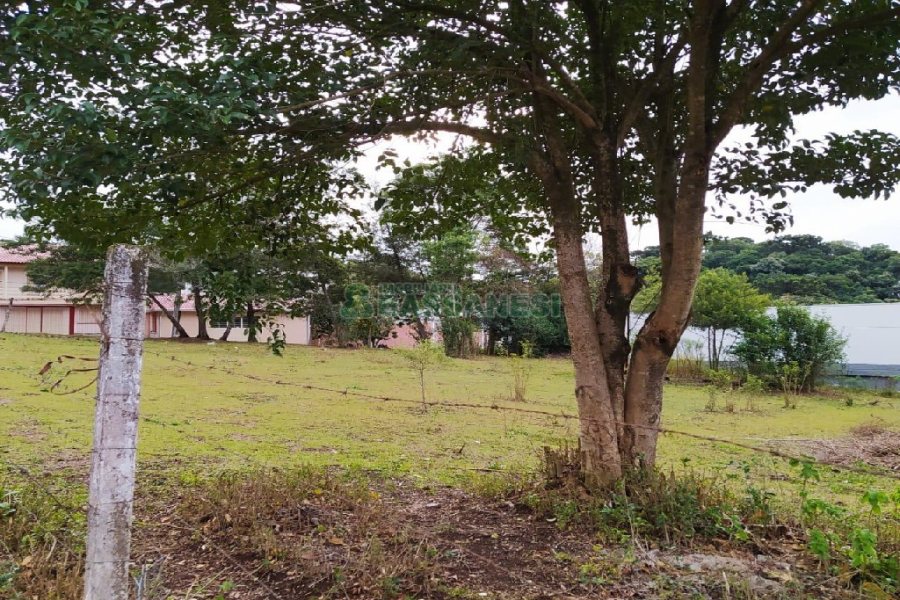Terreno com 855m², no bairro Salgado Filho em Caxias do Sul para Alugar