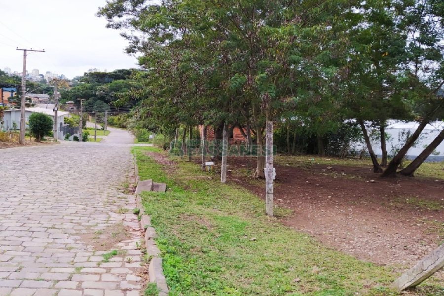 Terreno com 855m², no bairro Salgado Filho em Caxias do Sul para Alugar