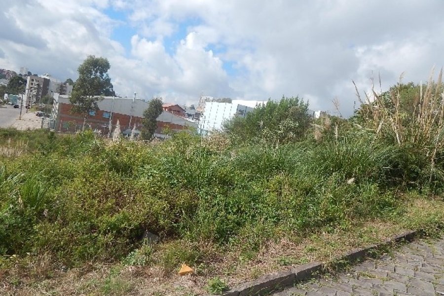 Terreno com 720m², no bairro Sanvitto em Caxias do Sul para Alugar