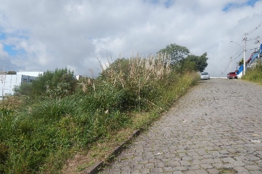 Terreno com 720m², no bairro Sanvitto em Caxias do Sul para Alugar