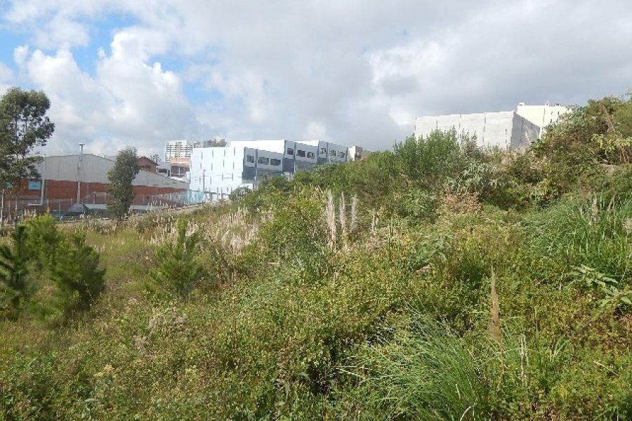 Terreno com 720m², no bairro Sanvitto em Caxias do Sul para Alugar