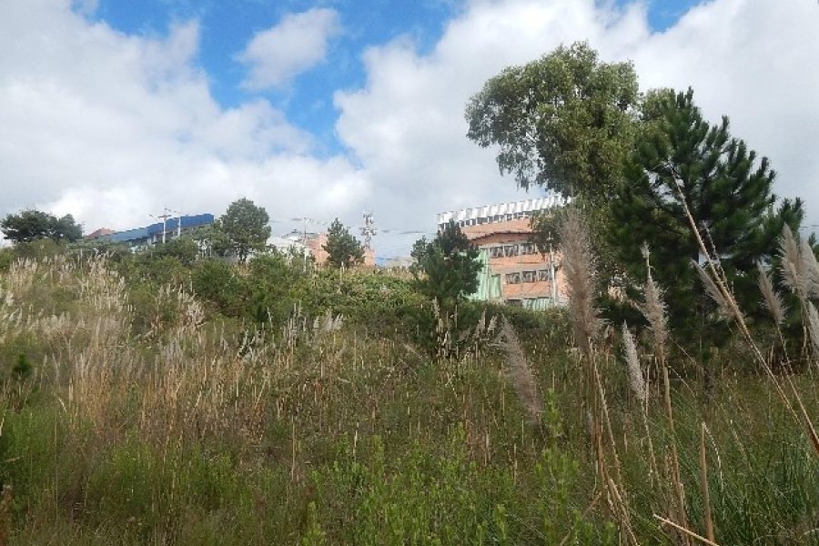 Terreno com 720m², no bairro Sanvitto em Caxias do Sul para Alugar