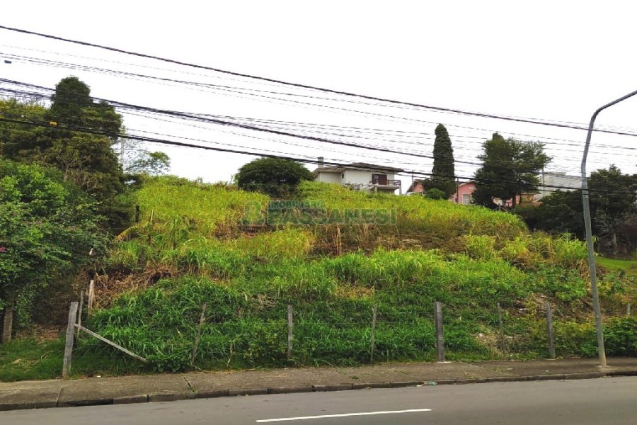 Terreno com 1500m², no bairro Rio Branco em Caxias do Sul para Alugar