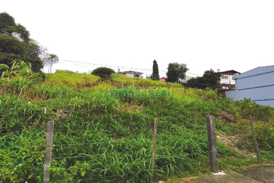 Terreno com 1500m², no bairro Rio Branco em Caxias do Sul para Alugar