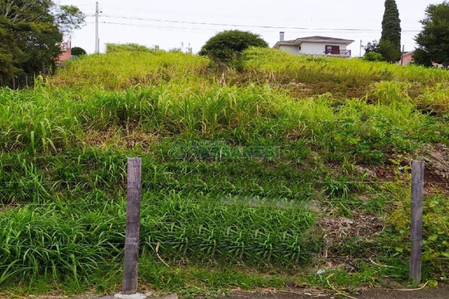 Terreno com 1500m², no bairro Rio Branco em Caxias do Sul para Alugar
