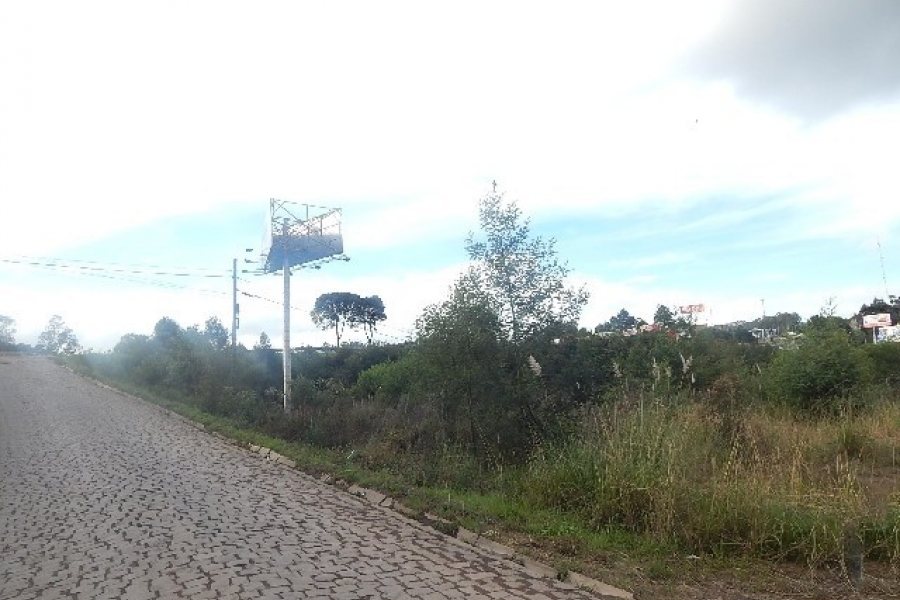 Terreno com 30800m², no bairro Linha Julieta em Farroupilha para Alugar
