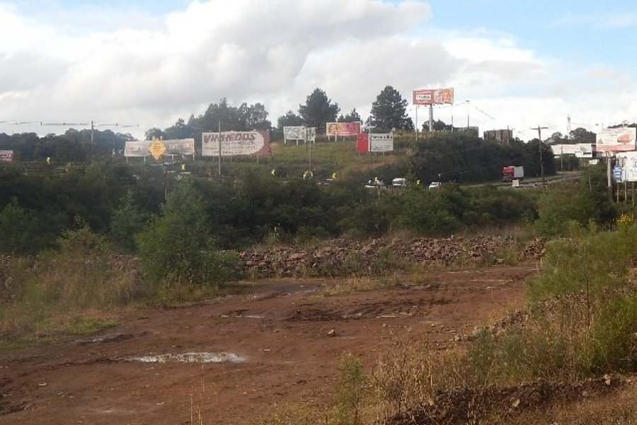 Terreno com 30800m², no bairro Linha Julieta em Farroupilha para Alugar