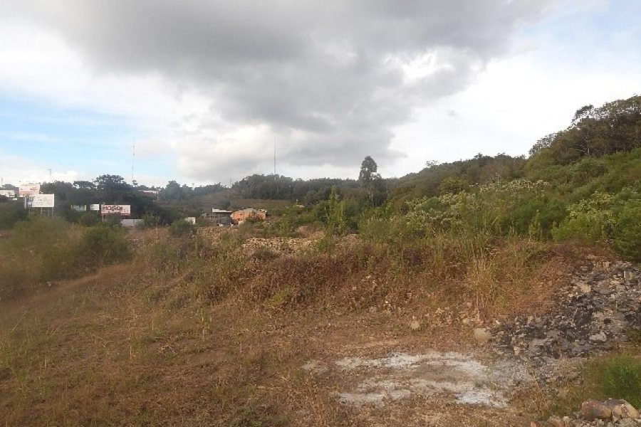 Terreno com 30800m², no bairro Linha Julieta em Farroupilha para Alugar