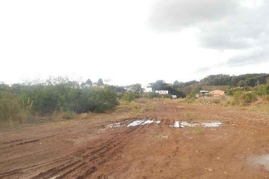 Terreno com 30800m², no bairro Linha Julieta em Farroupilha para Alugar