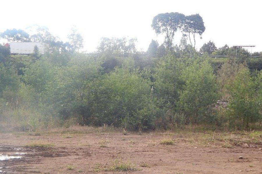 Terreno com 30800m², no bairro Linha Julieta em Farroupilha para Alugar