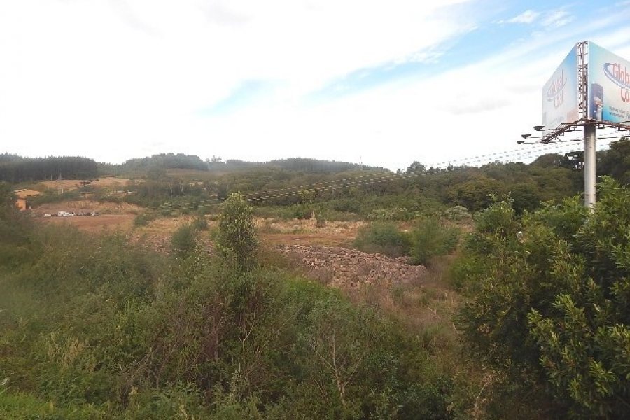 Terreno com 30800m², no bairro Linha Julieta em Farroupilha para Alugar