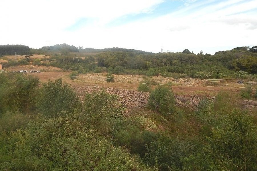 Terreno com 30800m², no bairro Linha Julieta em Farroupilha para Alugar