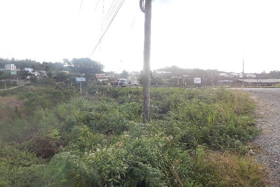 Terreno com 30800m², no bairro Linha Julieta em Farroupilha para Alugar