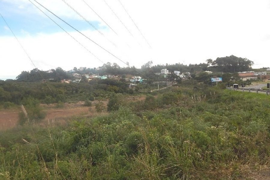 Terreno com 30800m², no bairro Linha Julieta em Farroupilha para Alugar