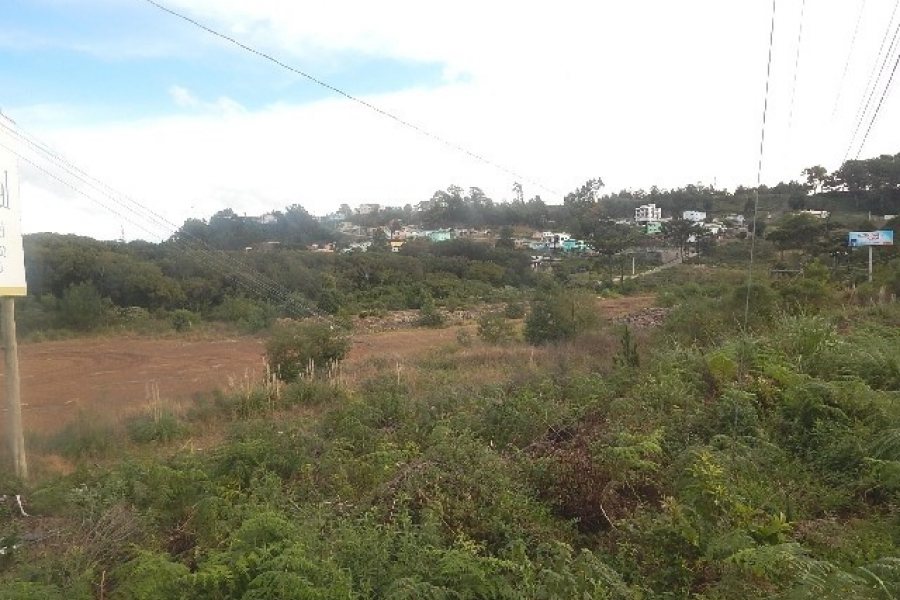Terreno com 30800m², no bairro Linha Julieta em Farroupilha para Alugar