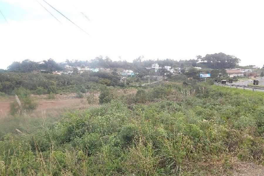 Terreno com 30800m², no bairro Linha Julieta em Farroupilha para Alugar