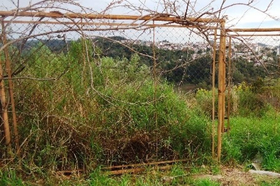 Terreno, no bairro São Victor COHAB em Caxias do Sul para Comprar