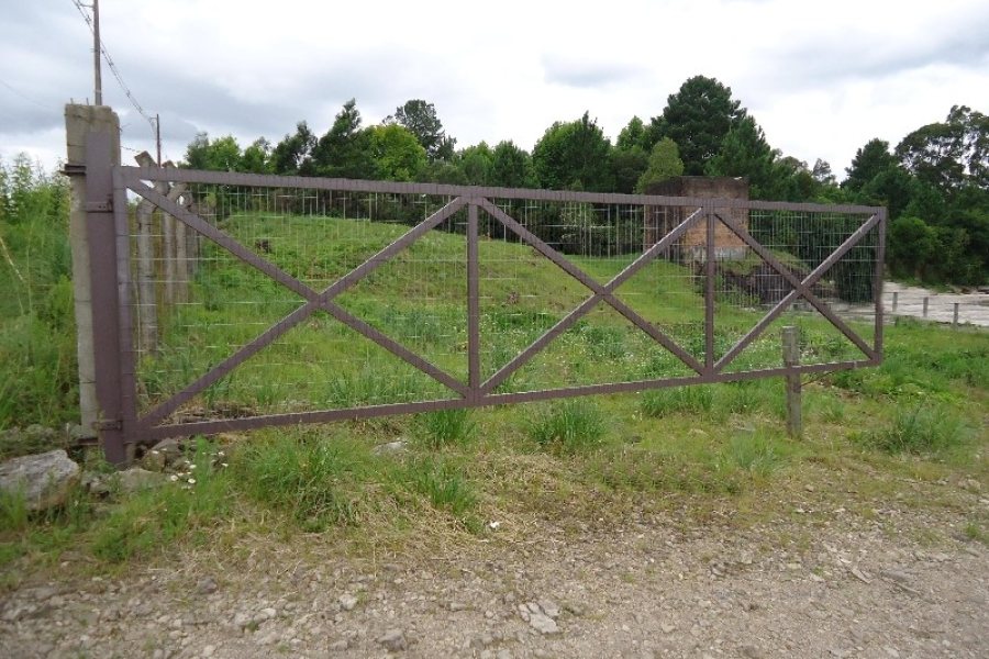 Terreno com 4000m², no bairro Cidade Nova em Caxias do Sul para Alugar