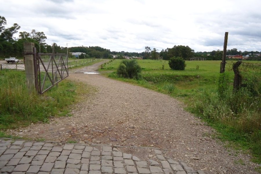 Terreno com 4000m², no bairro Cidade Nova em Caxias do Sul para Alugar