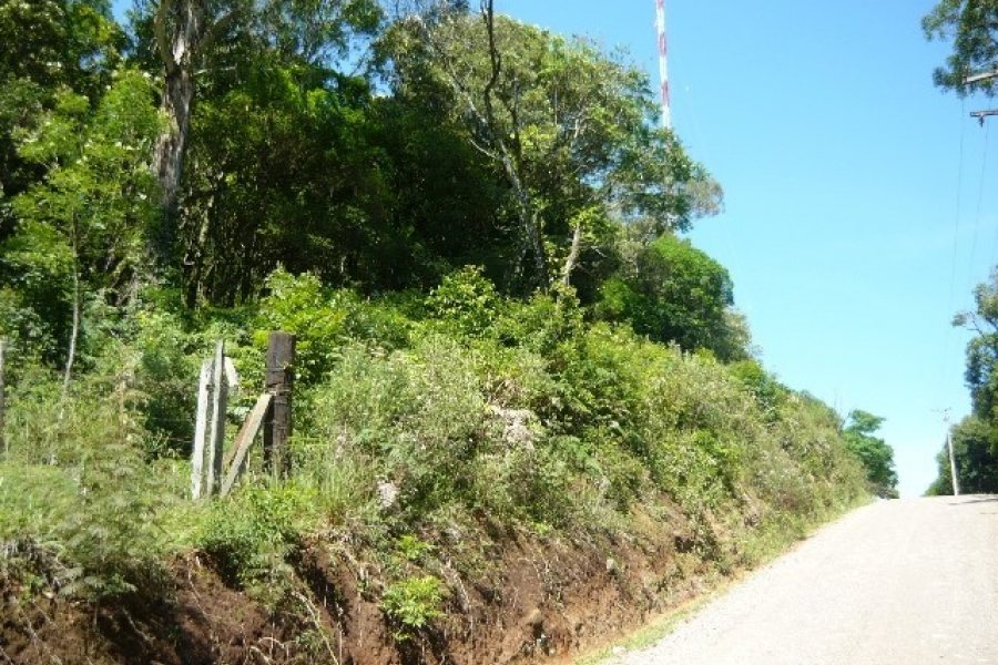 Chácara, no bairro Nossa Senhora do Rosário em Caxias do Sul para Comprar