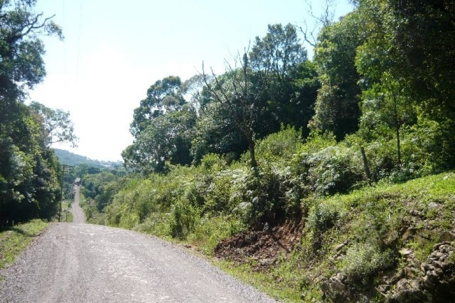 Chácara, no bairro Nossa Senhora do Rosário em Caxias do Sul para Comprar