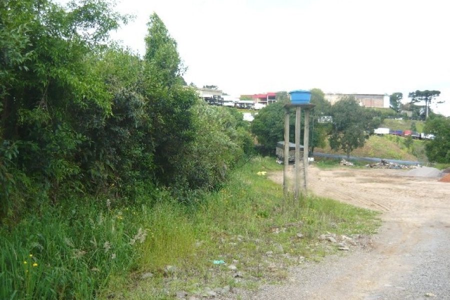 Terreno com 3276m², no bairro Diamantino em Caxias do Sul para Alugar