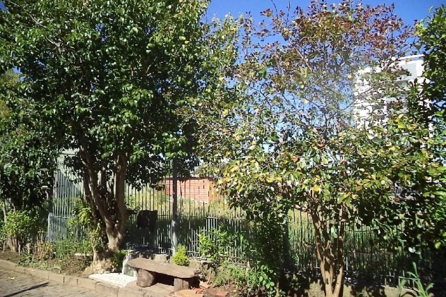 Terreno com 800m², no bairro Sagrada Família em Caxias do Sul para Alugar