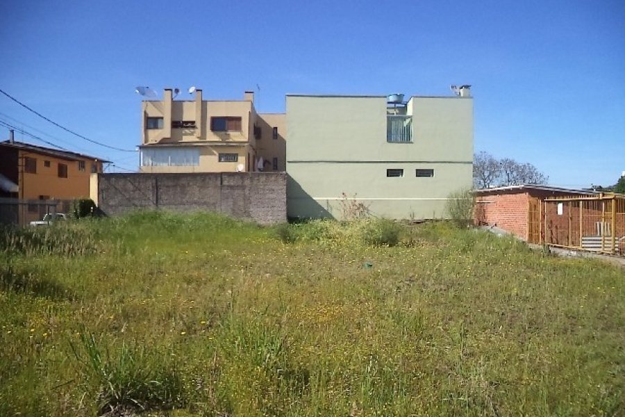 Terreno com 800m², no bairro Sagrada Família em Caxias do Sul para Alugar