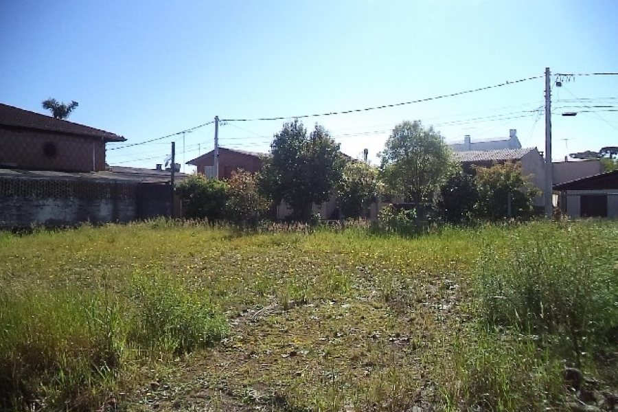 Terreno com 800m², no bairro Sagrada Família em Caxias do Sul para Alugar