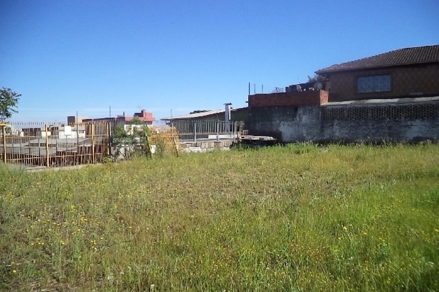 Terreno com 800m², no bairro Sagrada Família em Caxias do Sul para Alugar