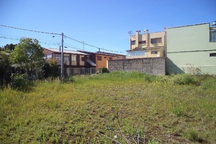 Terreno com 800m², no bairro Sagrada Família em Caxias do Sul para Alugar