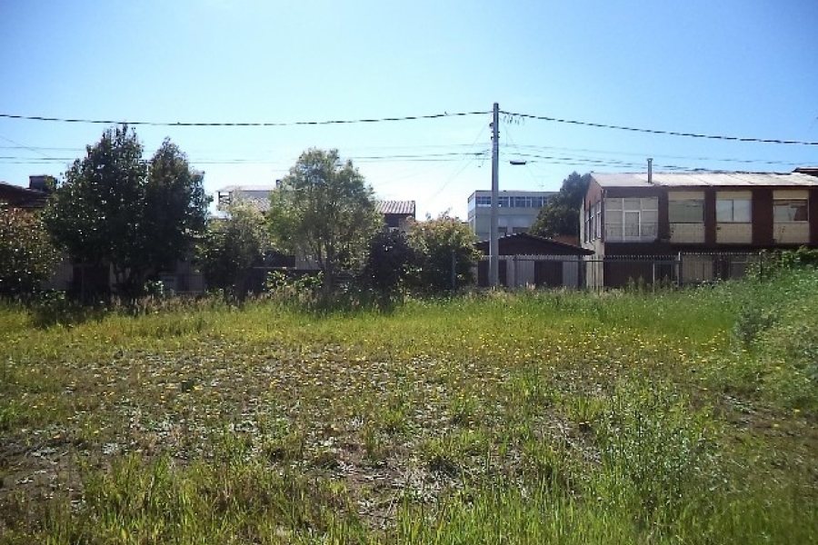 Terreno com 800m², no bairro Sagrada Família em Caxias do Sul para Alugar