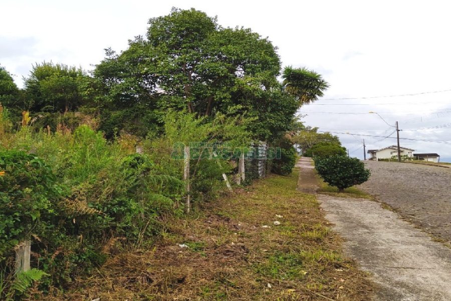 Terreno com 411m², no bairro Cinqüentenário em Caxias do Sul para Alugar