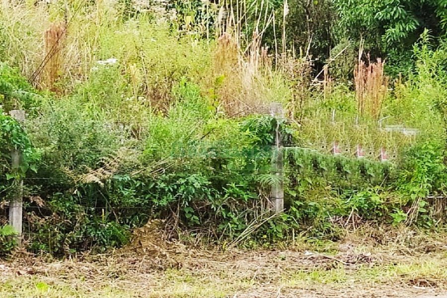 Terreno com 411m², no bairro Cinqüentenário em Caxias do Sul para Alugar