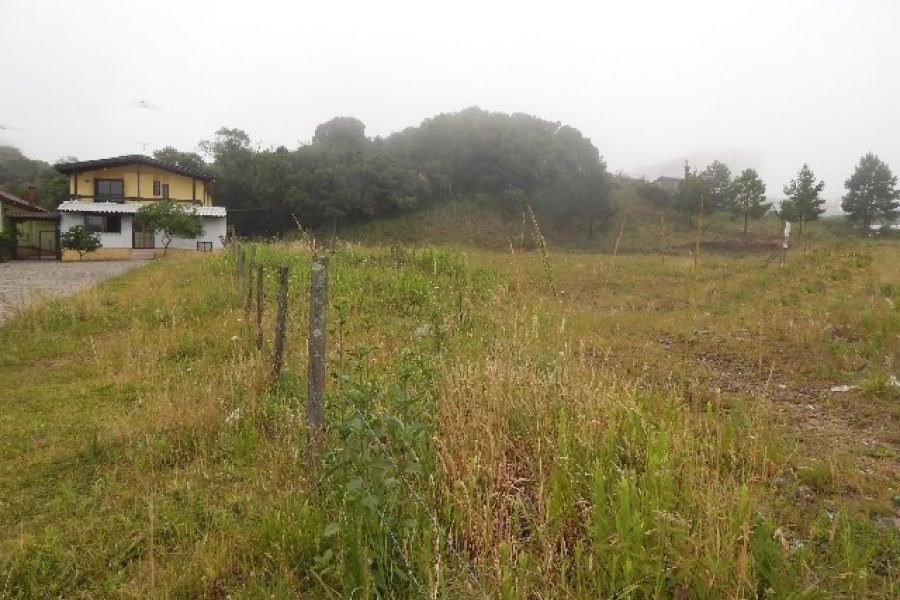 Terreno com 439m², no bairro Charqueadas em Caxias do Sul para Alugar