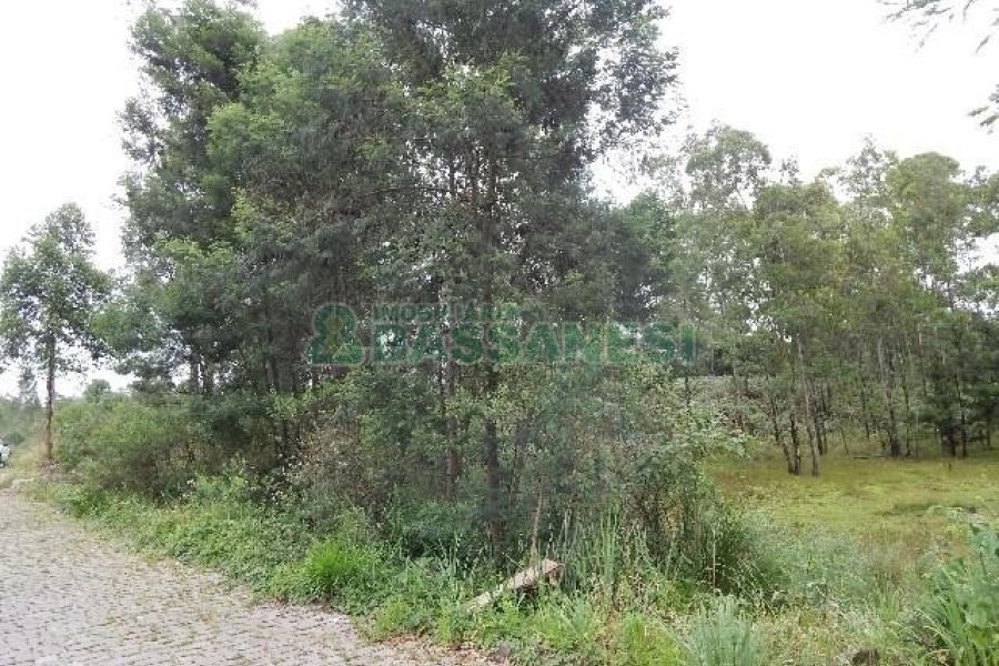 Terreno com 14700m², no bairro Forqueta em Caxias do Sul para Alugar