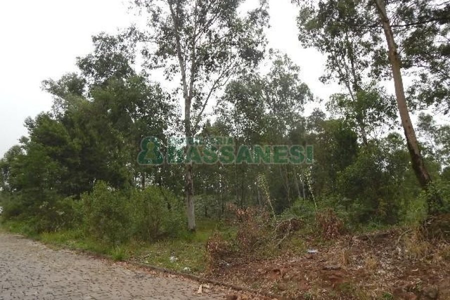 Terreno com 14700m², no bairro Forqueta em Caxias do Sul para Alugar