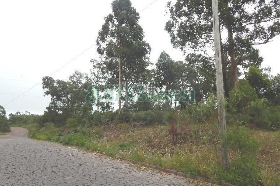 Terreno com 14700m², no bairro Forqueta em Caxias do Sul para Alugar