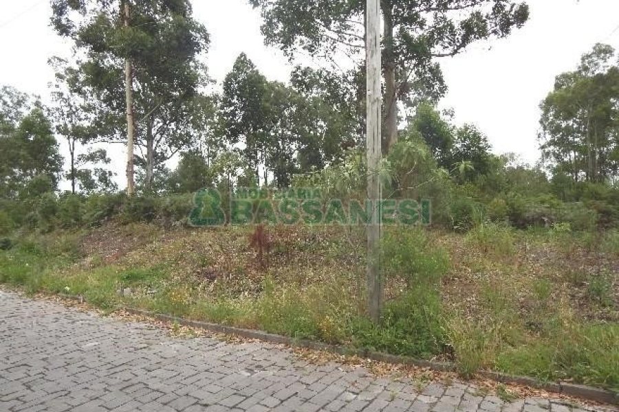 Terreno com 14700m², no bairro Forqueta em Caxias do Sul para Alugar