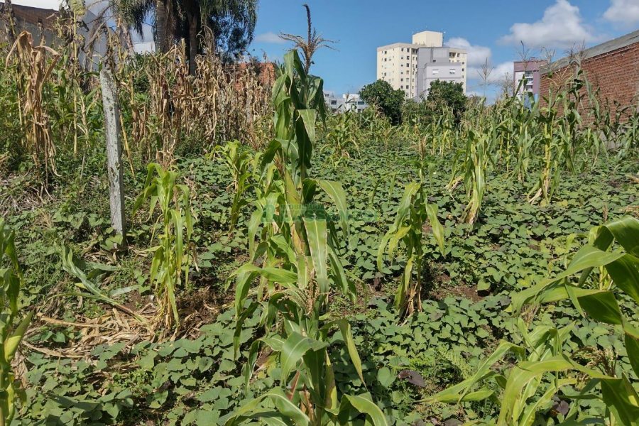 Terreno, no bairro Morada dos Alpes em Caxias do Sul para Comprar
