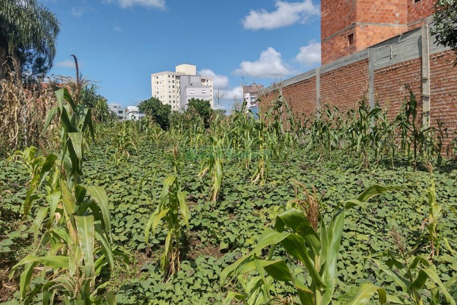 Terreno, no bairro Morada dos Alpes em Caxias do Sul para Comprar