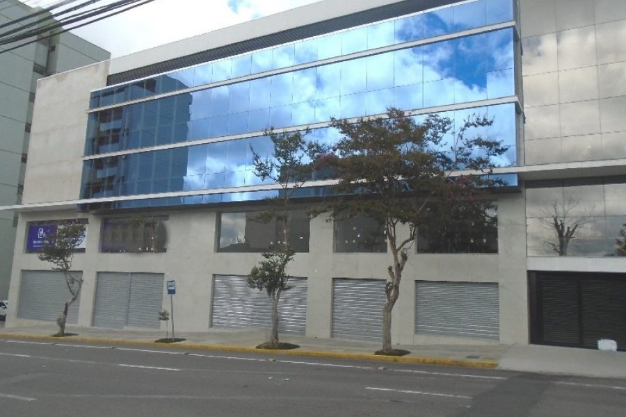 Loja com 200m², no bairro São Pelegrino em Caxias do Sul para Alugar