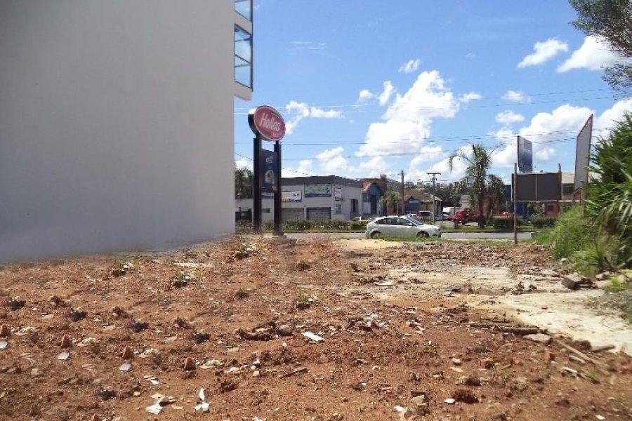 Terreno com 372m², no bairro Cinqüentenário em Caxias do Sul para Alugar