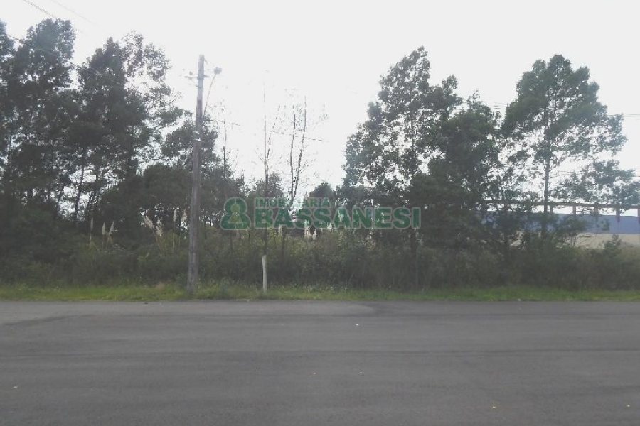 Terreno com 2250m², no bairro Desvio Rizzo em Caxias do Sul para Alugar