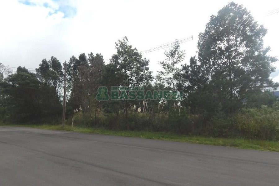 Terreno com 2250m², no bairro Desvio Rizzo em Caxias do Sul para Alugar