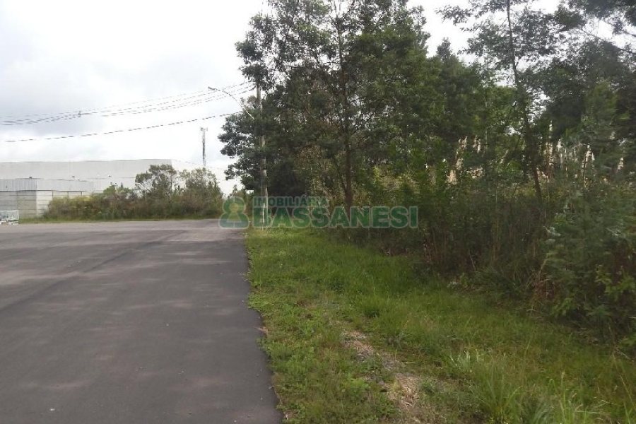 Terreno com 2250m², no bairro Desvio Rizzo em Caxias do Sul para Alugar