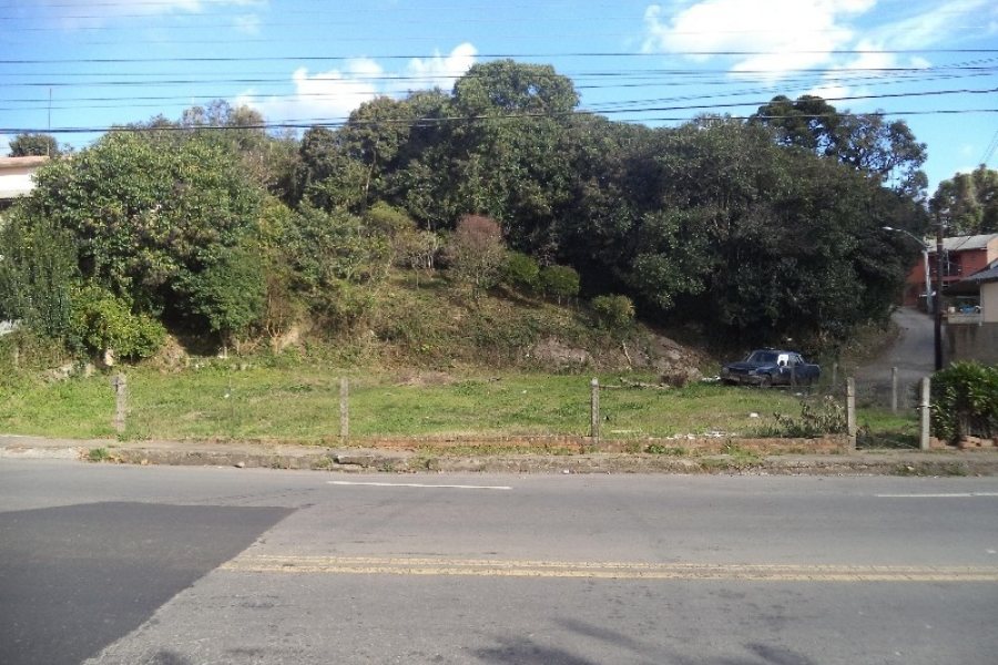 Terreno com 1100m², no bairro Santa Catarina em Caxias do Sul para Alugar