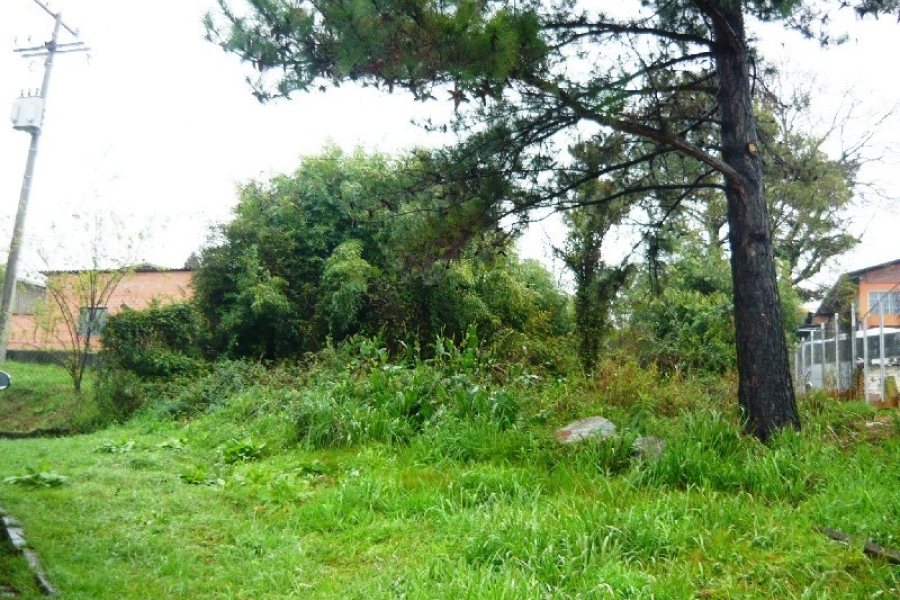 Terreno, no bairro Pioneiro em Caxias do Sul para Comprar