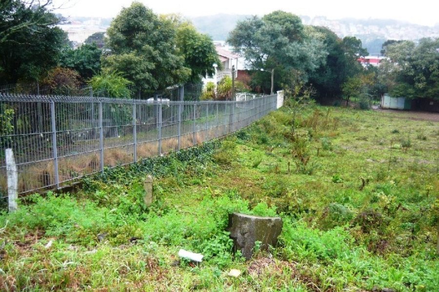 Terreno, no bairro Pioneiro em Caxias do Sul para Comprar